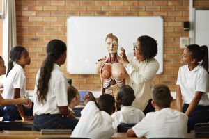 High school classroom with teacher sitting at the front with a model of the human body and students watching a demonstration by the teacher