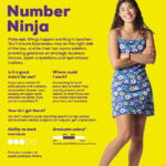 Number Ninja