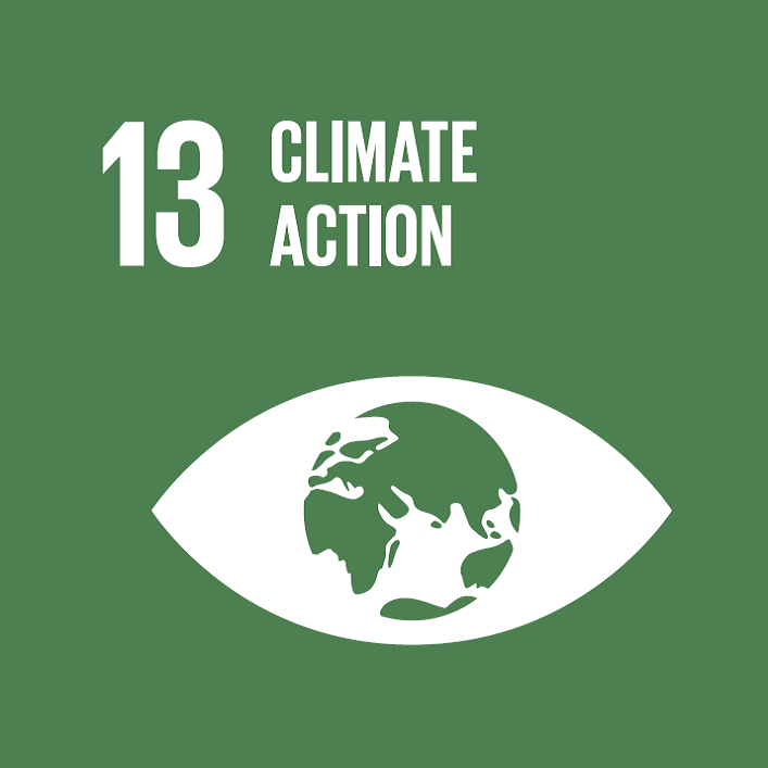 Icon for UN Sustainable Development Goal 13