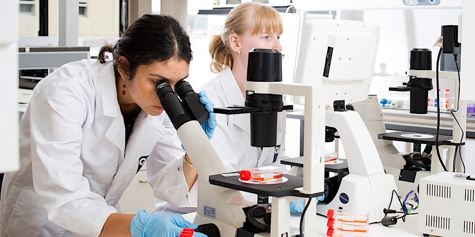 QUT laboratory