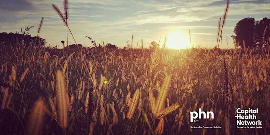 A field of wheat