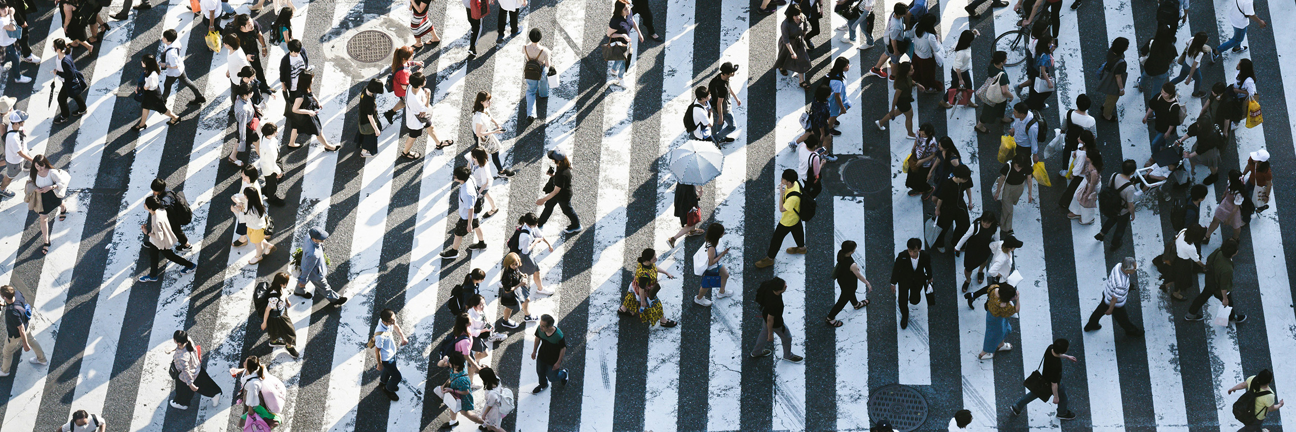 Human Behaviour