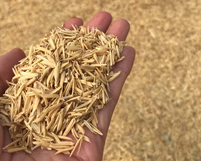 Rice husks