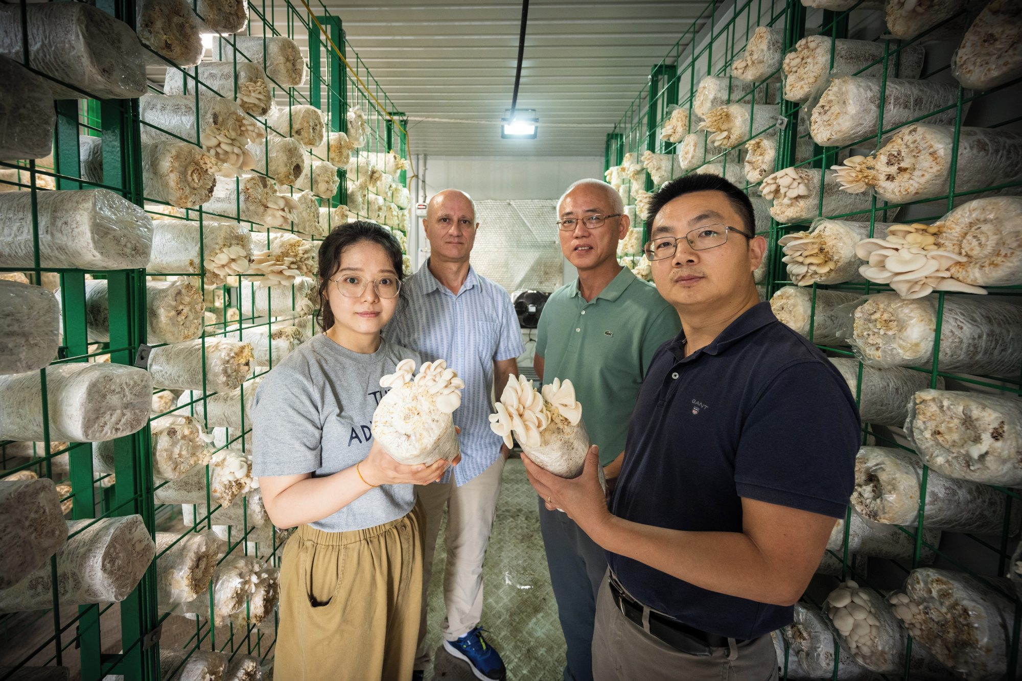 2.1M boost to expand exotic mushroom production in Australia Centre