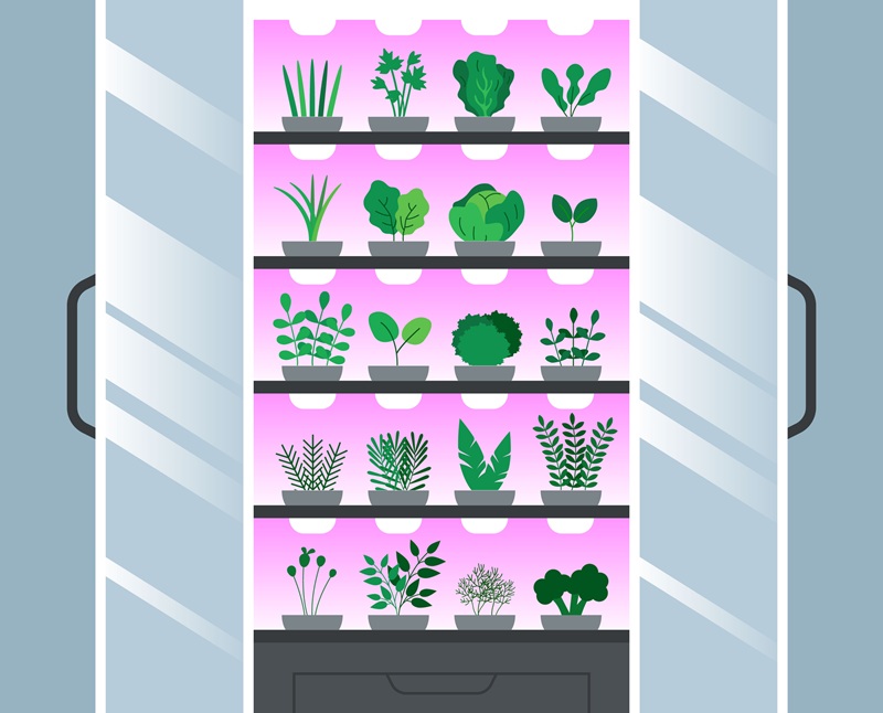 Hydroponic vertical grow rack indoor farming