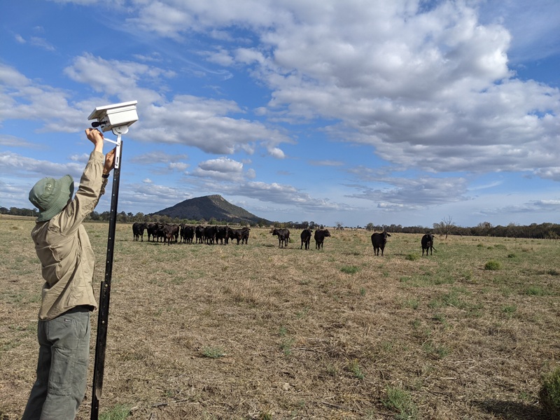 Field work for project