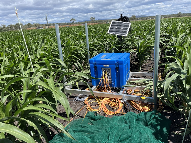 Project field work
