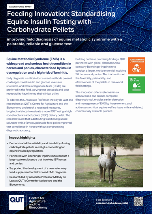 Equine Insulin Testing