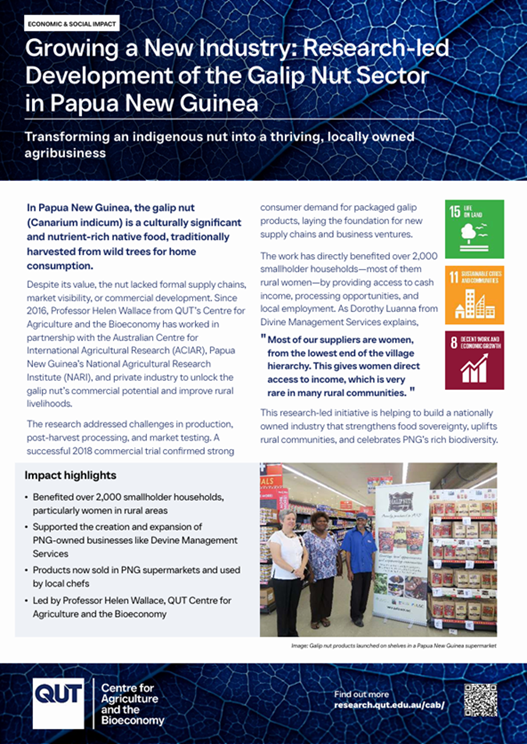 Galip Nut Sector in Papua New Guinea