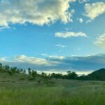 Landscape image. Green field, blue sky with some clouds