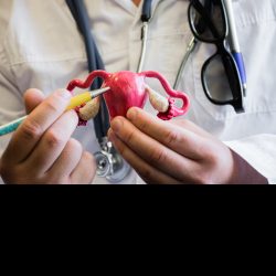 Uterus with ovaries and doctor. Doctor in white medical lab coat with stethoscope around his neck shows and indicates to the patient on uterus. Concept photo for use as teaching subject for patient
