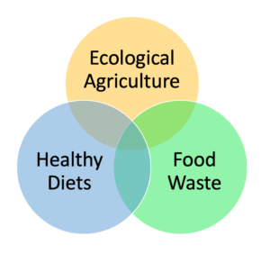 The three food system priorities to keep within the environmental limits of our planet (Options for keeping the food system within environmental limits, by Springmann et al. 2018).