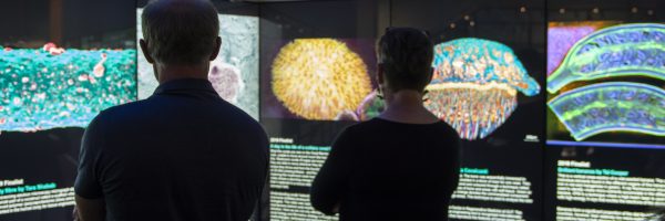 Science in Focus competition has a new Centre for Materials Science