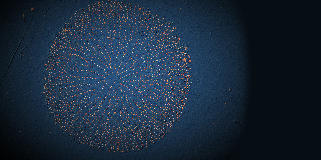 Hydrophobic gold by Eric Waclawik - finalist entry in the 2020 Science in Focus competition