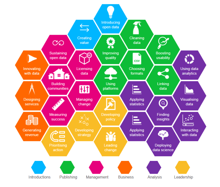 ODI Skills Framework visual map