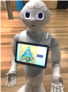 This shows a humanoid robot (Softbank's Pepper) with a foiod pyramid displayed on a screen situated on its chest. 