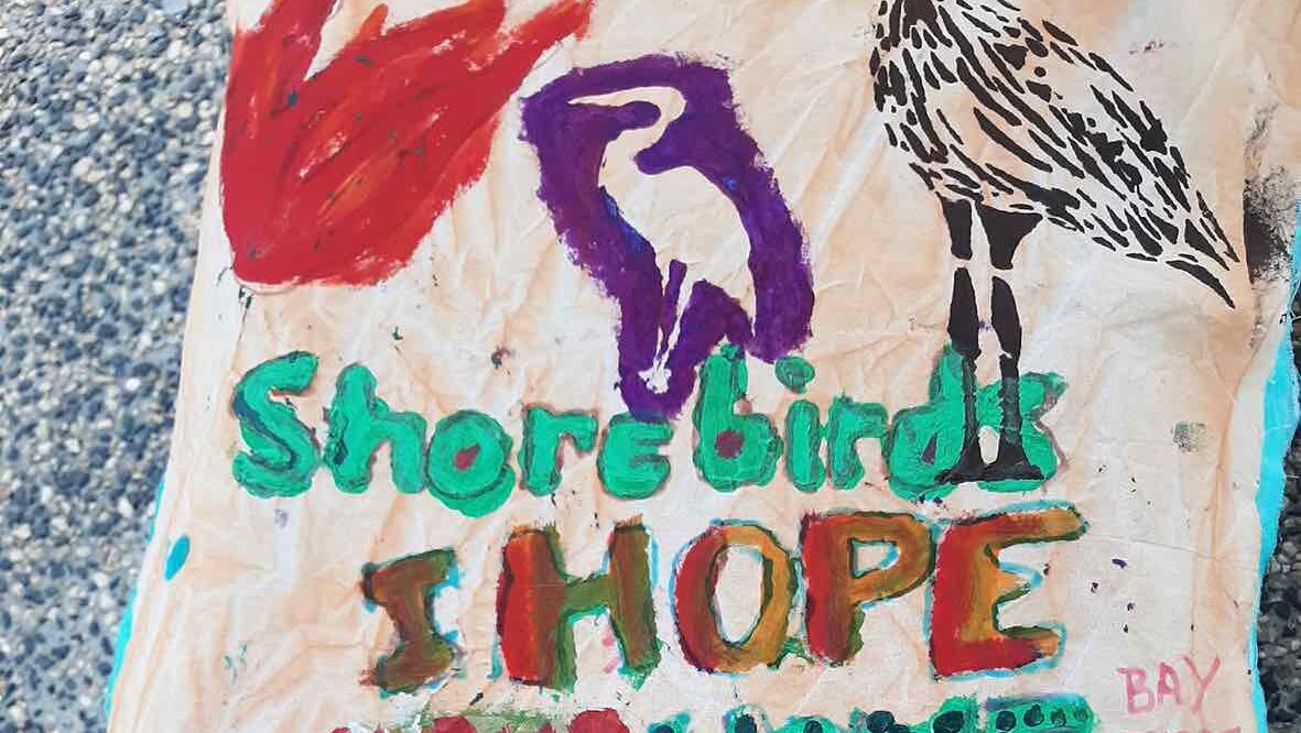 Shorebirds banner from Sabine Carter
