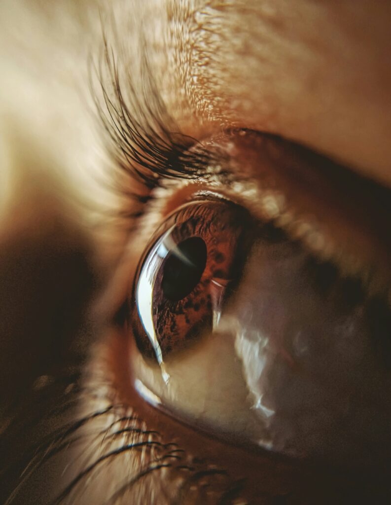 Extreme close up photo of a brown eye, side view, showing the gently curving clear surface of the cornea, covering the coloured iris and black pupil, surrounded by the white (sclera) of the eye.