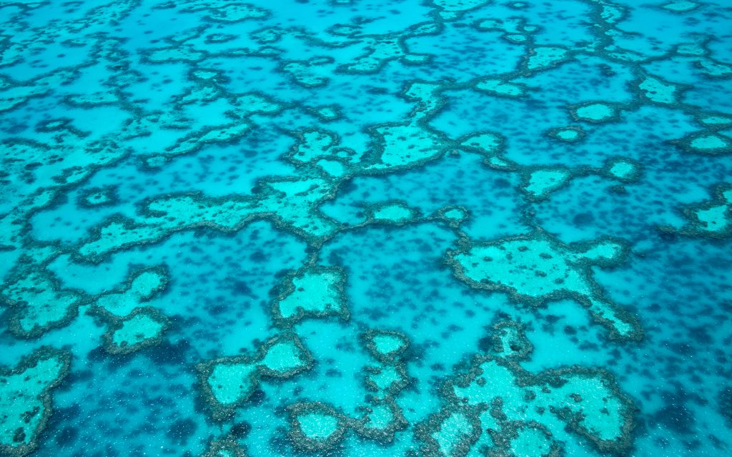 Bird's eye view of the Great Barrier Reef, lots of small coral reefs