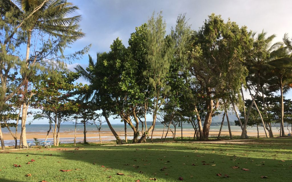 Trees and grass in the foreground with a beach in the background. Kurrimine Beach pictured