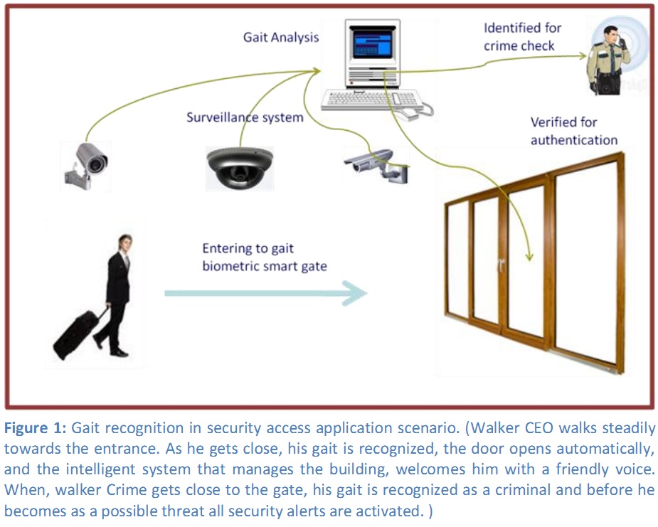 Human Identification in Video Surveillance Using Improved Gait